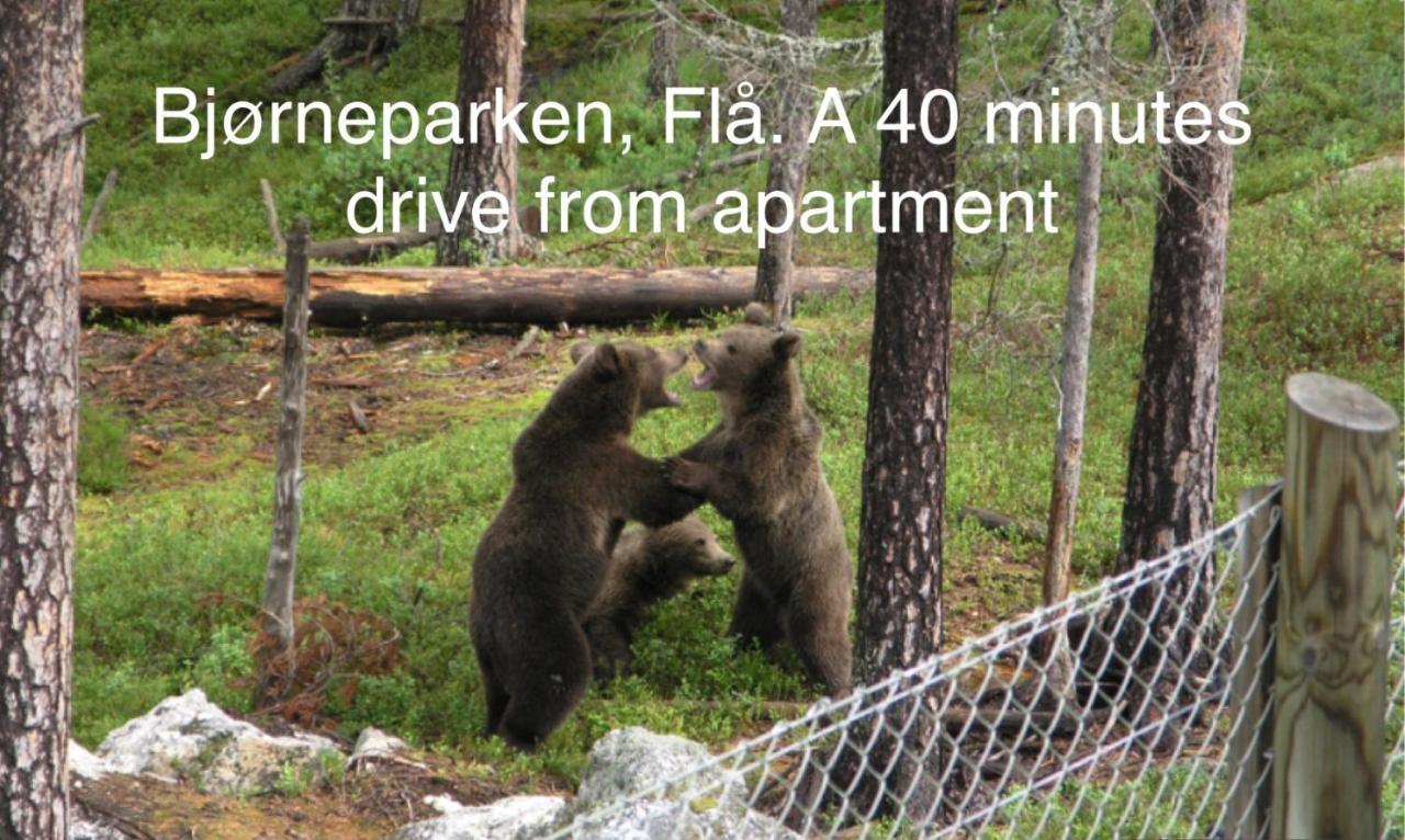 Garden Apartment In גול מראה חיצוני תמונה